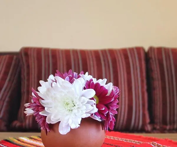 Horizont Сонячний Берег